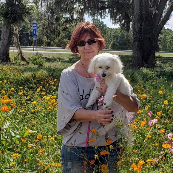 Meet your Posher, Leila - Picture 2 of 2